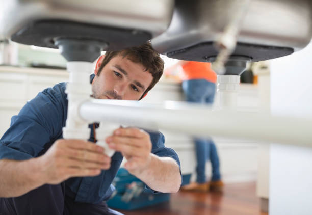 Best Local Plumber Services  in Basile, LA